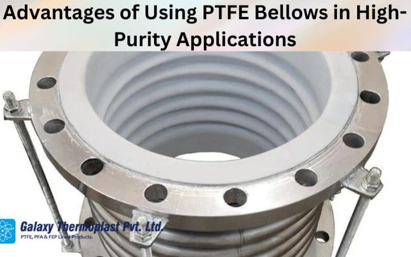 Advantages of Using PTFE Bellows in High-Purity Applications