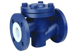 PTFE Lined Ball Check Valve