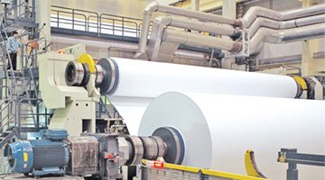 Paper & Pulp Industry