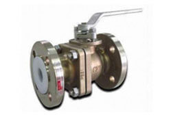 SS 304 PTFE Lined Flush Ball Valve