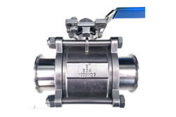 SS 304 PTFE Lined Ball Check Valve